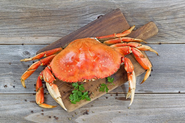 Spécialité usa : Dungeness Crab