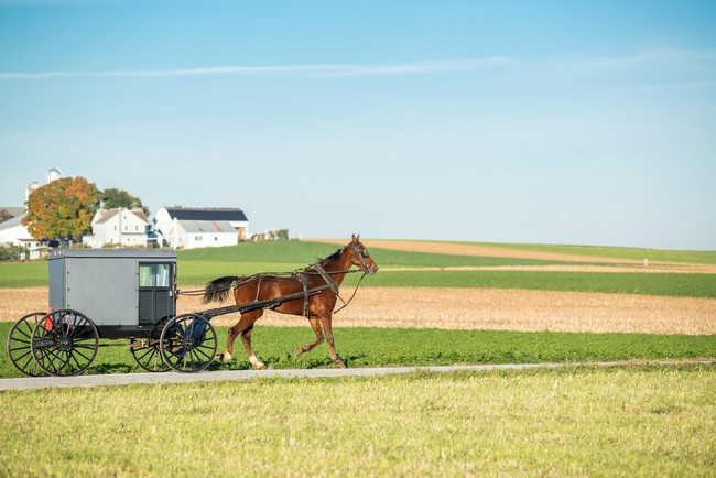 Pays Amish, Côte Est USA