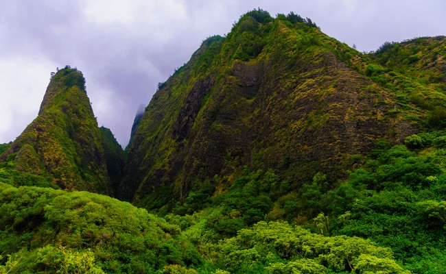 Lao State Park Maui