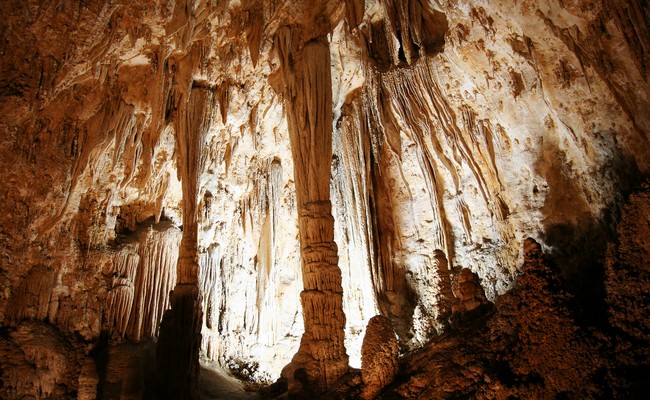 Parc national des grottes de Carlsbad
