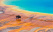 Bison Yellowstone
