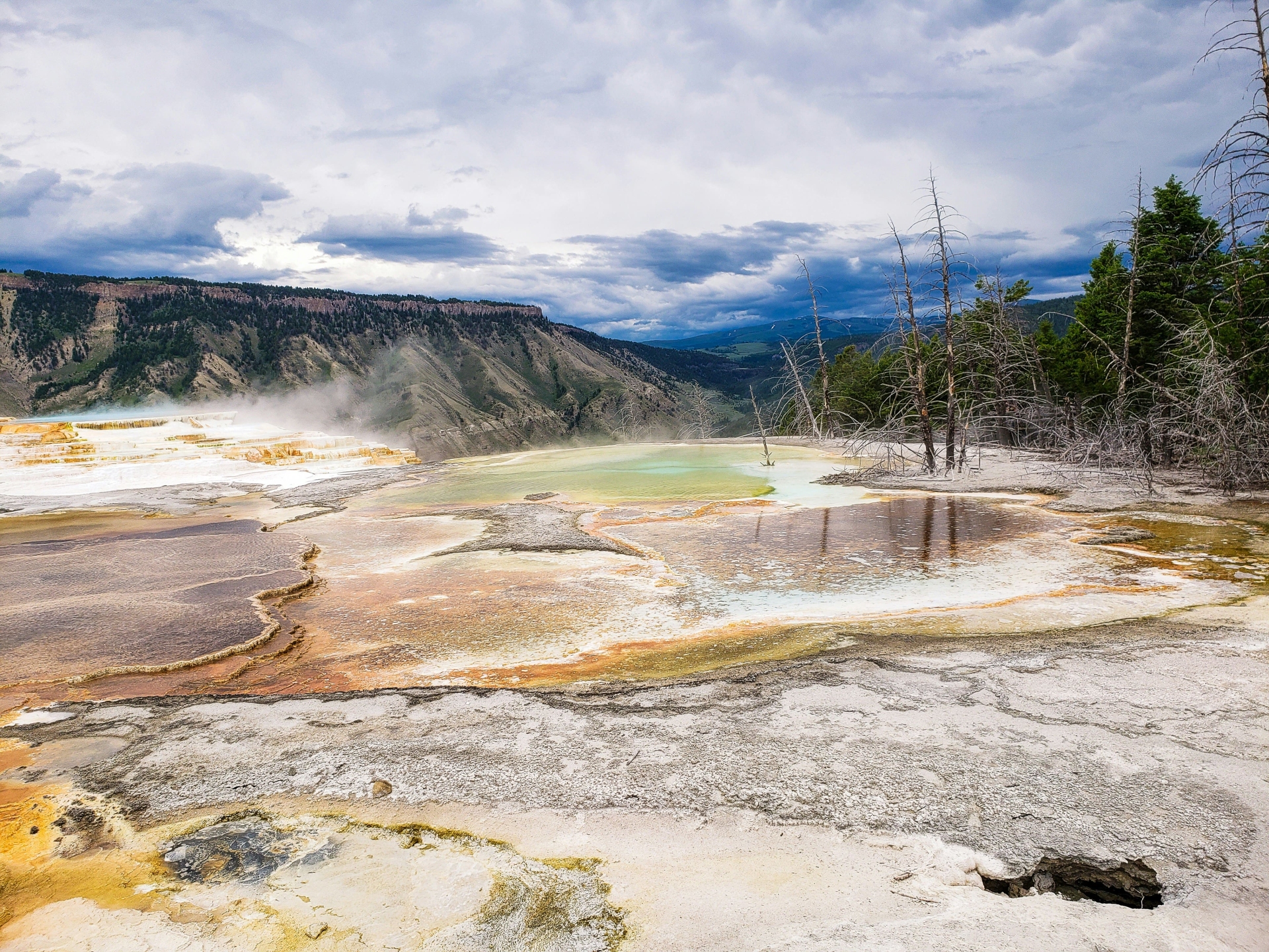 Mammoth Hot Springs