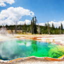 Parc de Yellowstone