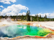 Parc de Yellowstone