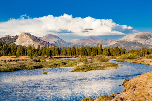 Tuolumne Meadows