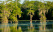 Lac Martin - Louisiane