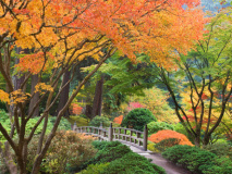 Jardin Japonais de Portland