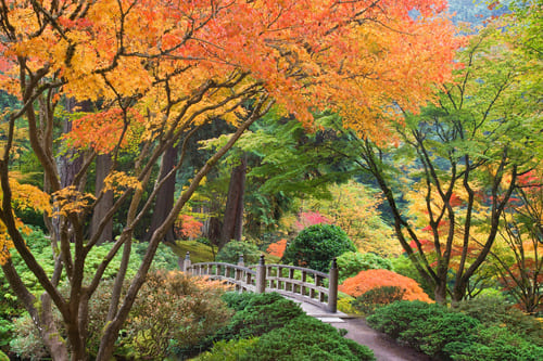 Jardin Japonais de Portland