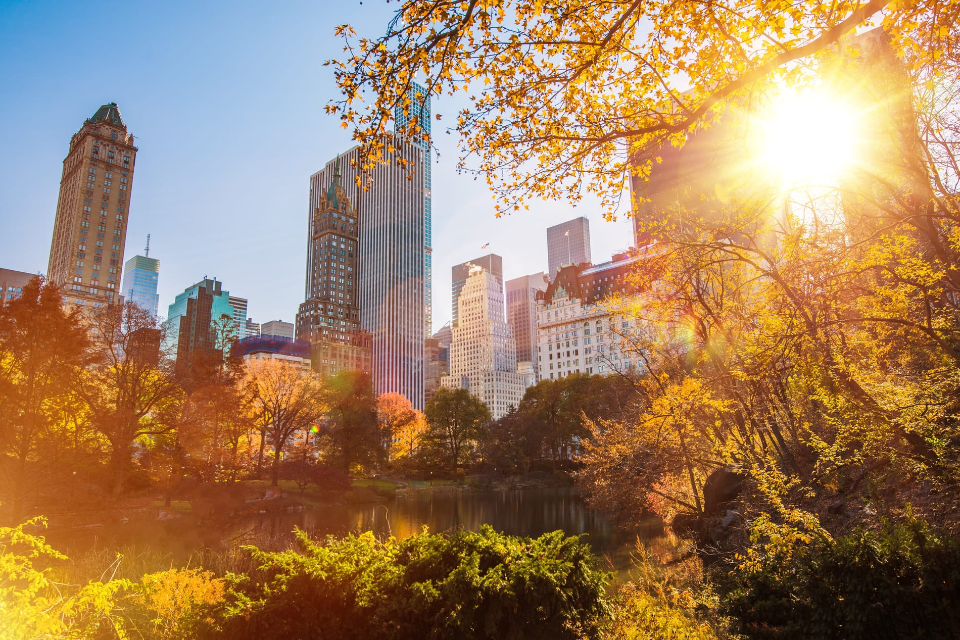 Central Park