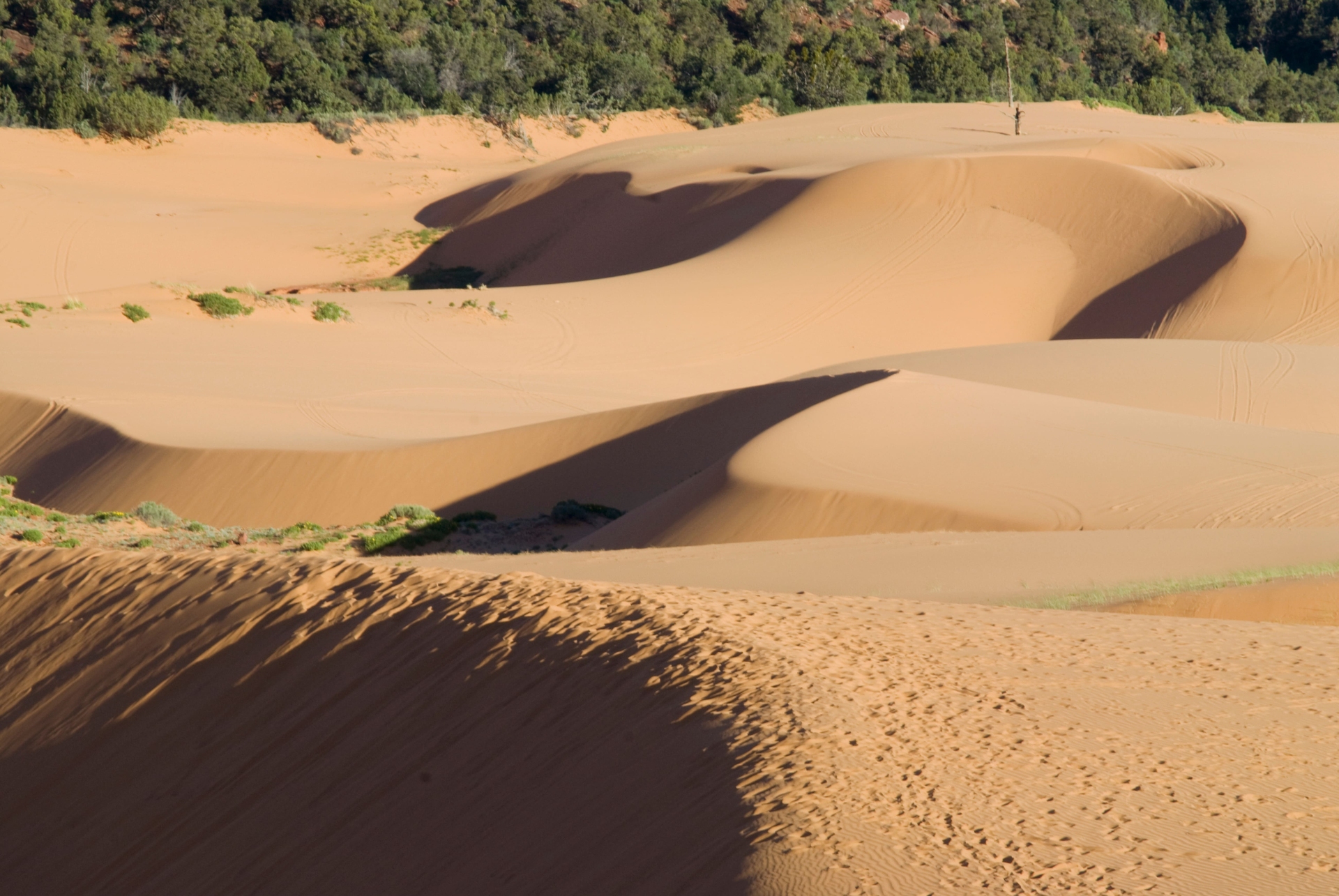Coral Pink Sand Dunes