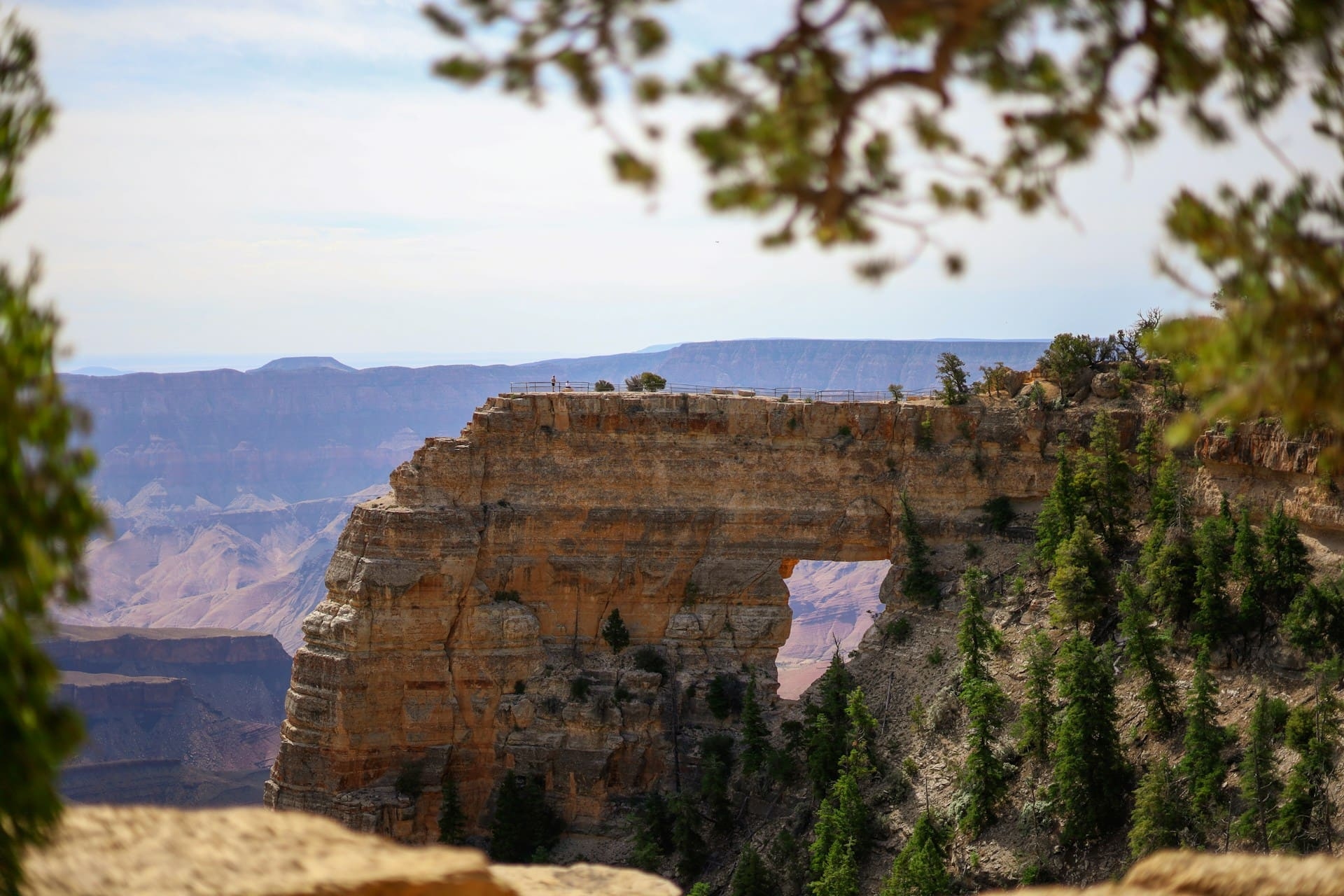 Le Grand Canyon