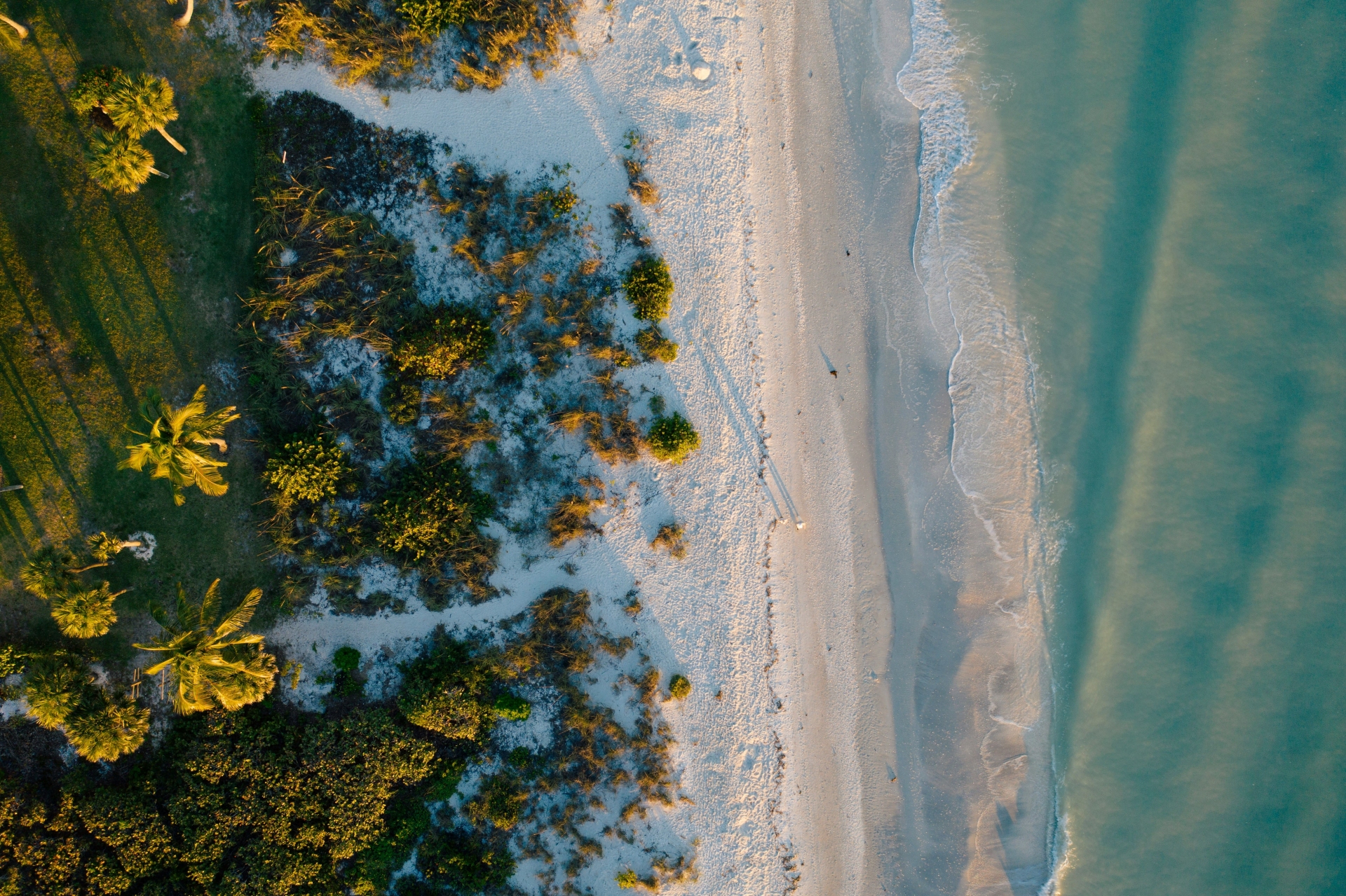 Floride