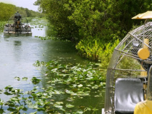 Parc des Everglades