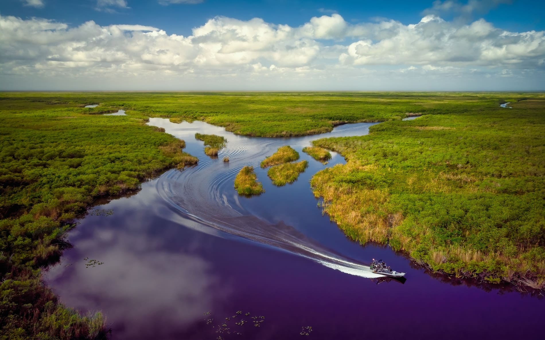 Everglades - Floride