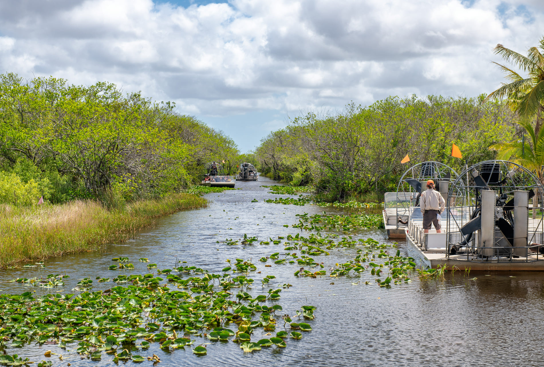 Everglades Floride