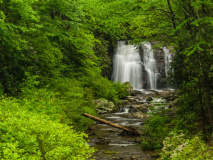 Great Smoky Mountain National Park