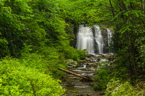 Great Smoky Mountain National Park