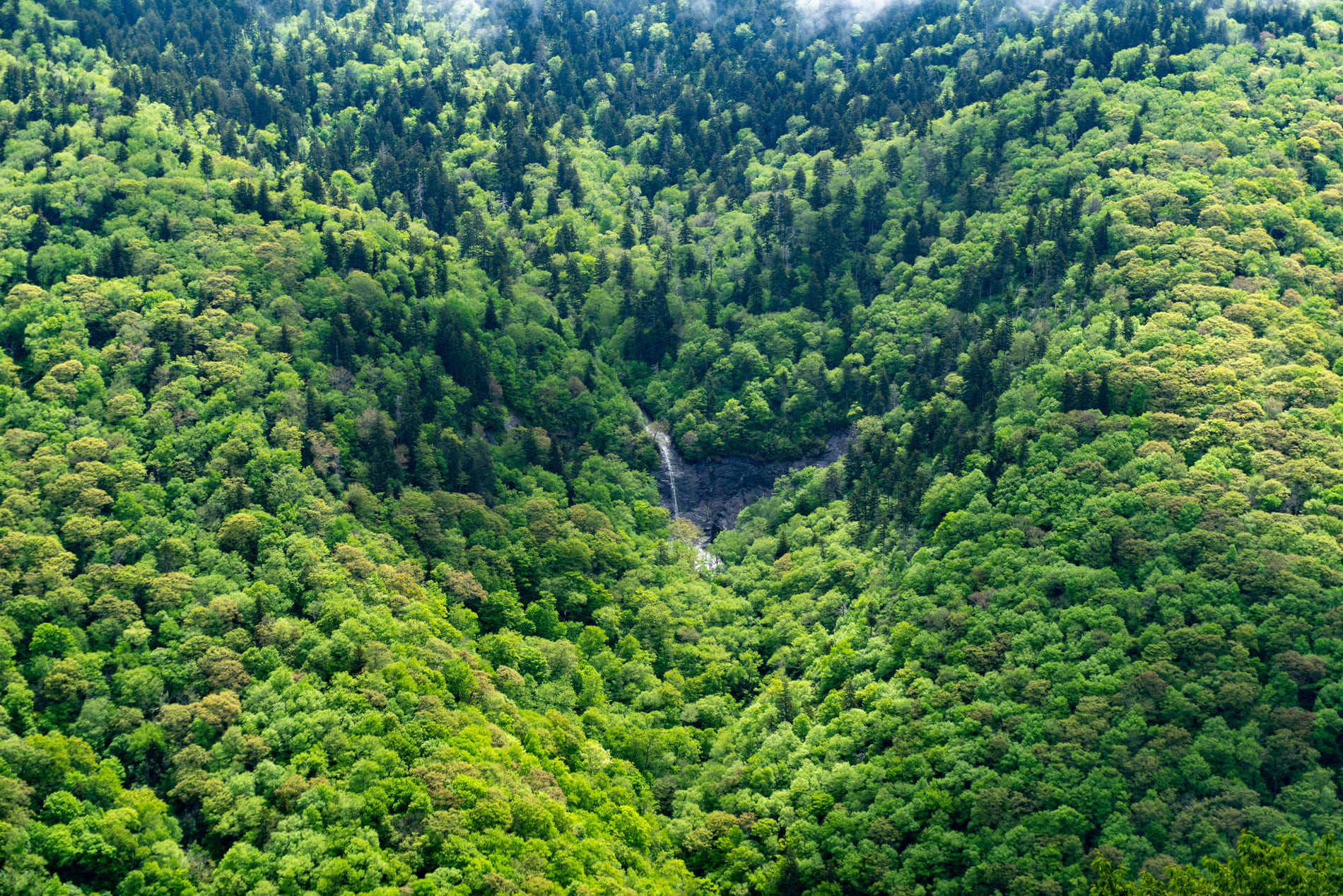 Great Smoky Mountain National Park