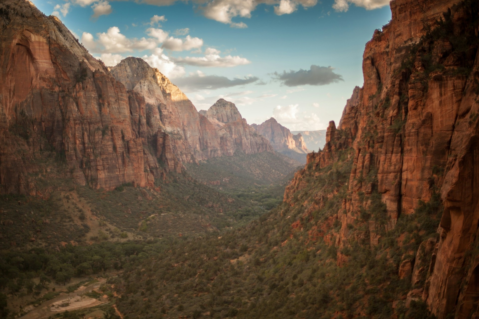 zion-national-park-utah-jamie-hagan-unsplash