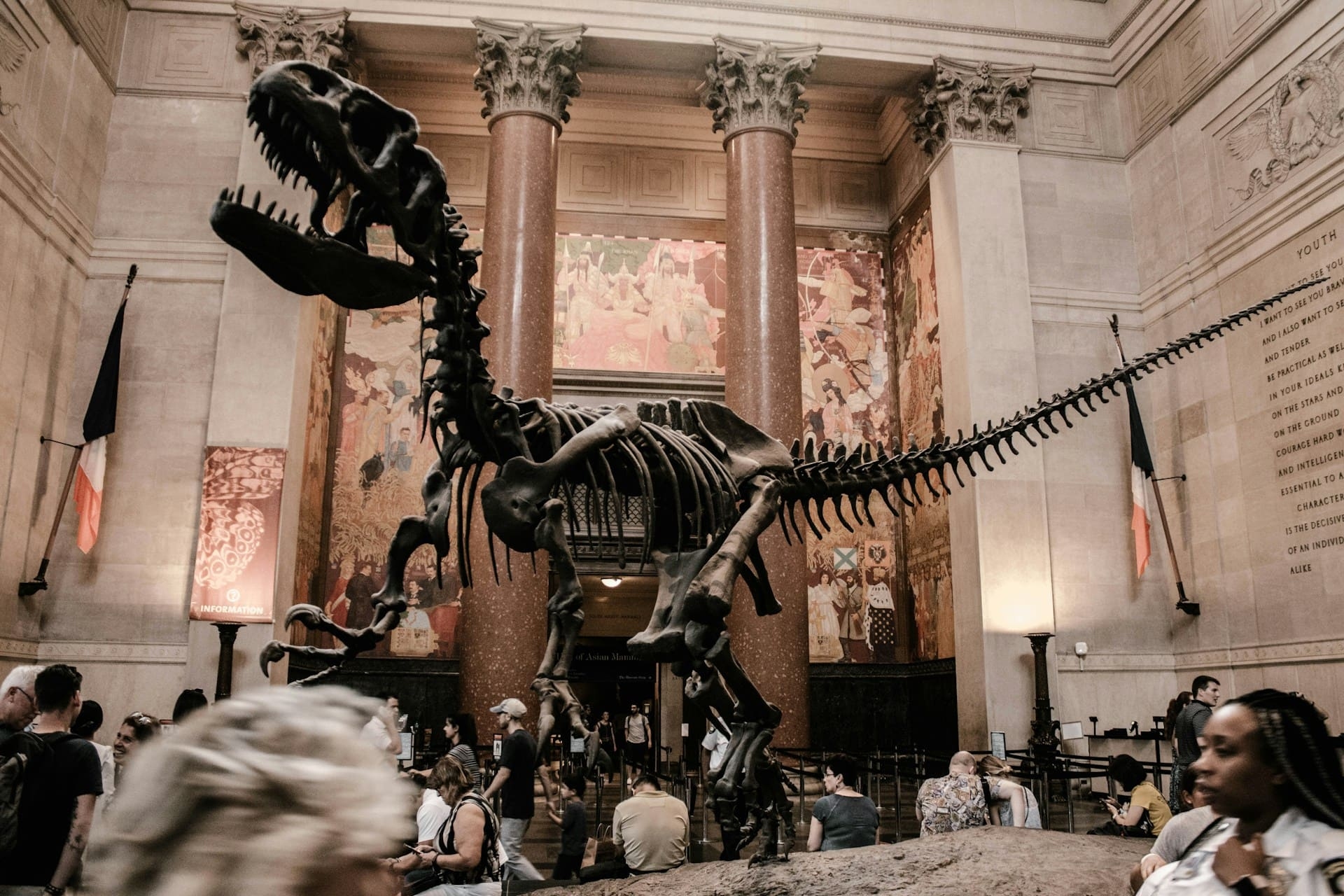 Musée américain d'Histoire Naturelle