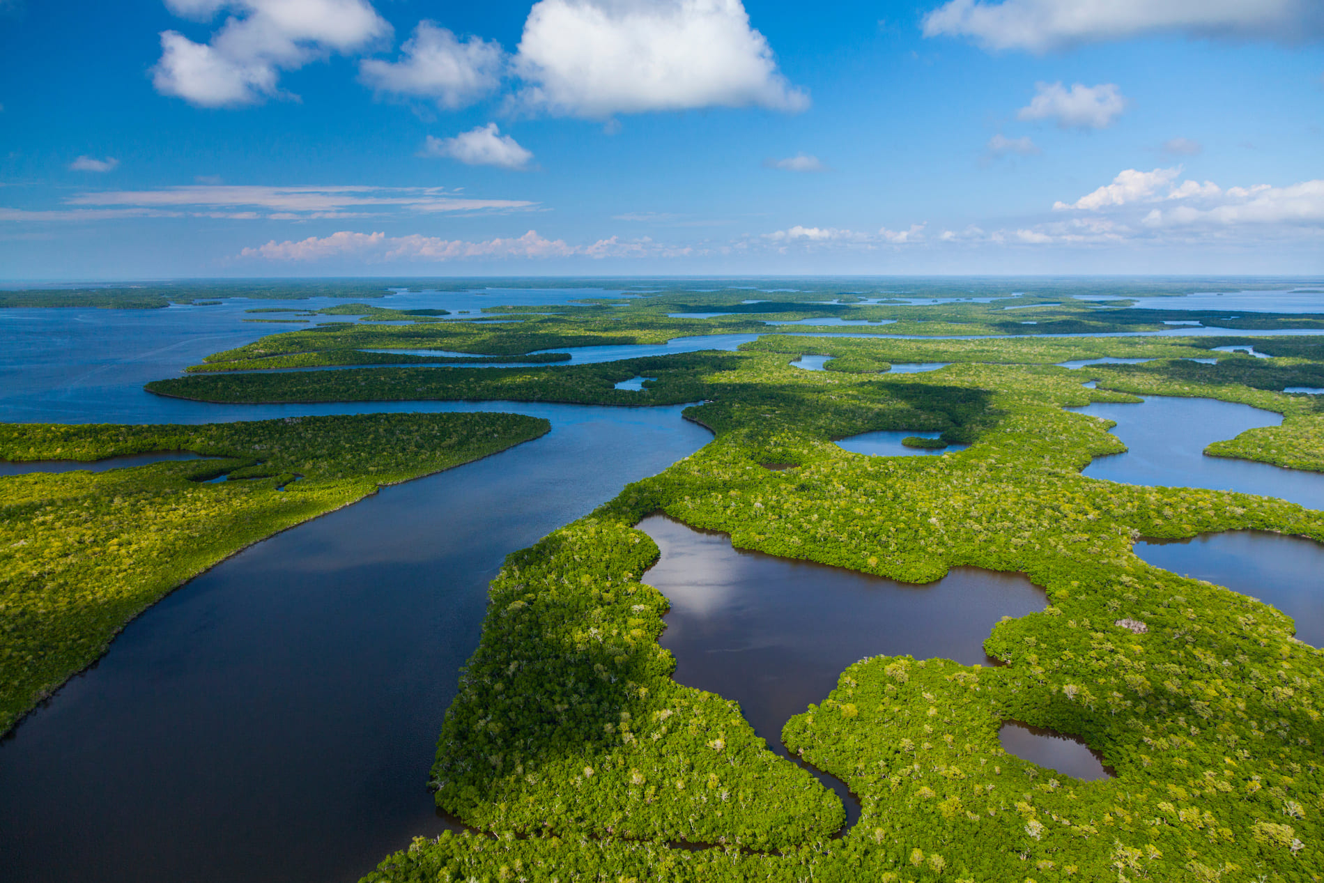 Parc des Everglades