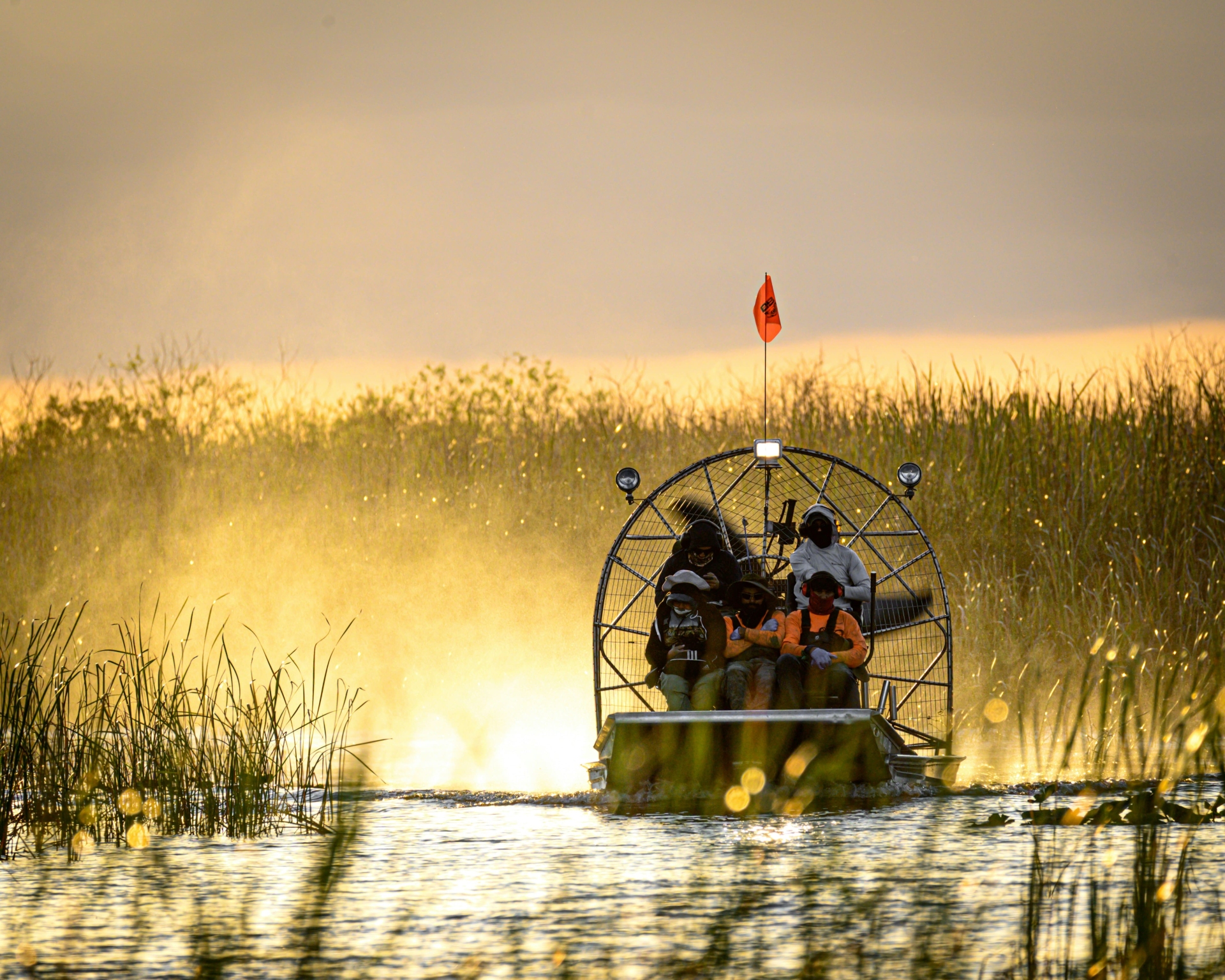 Les everglades