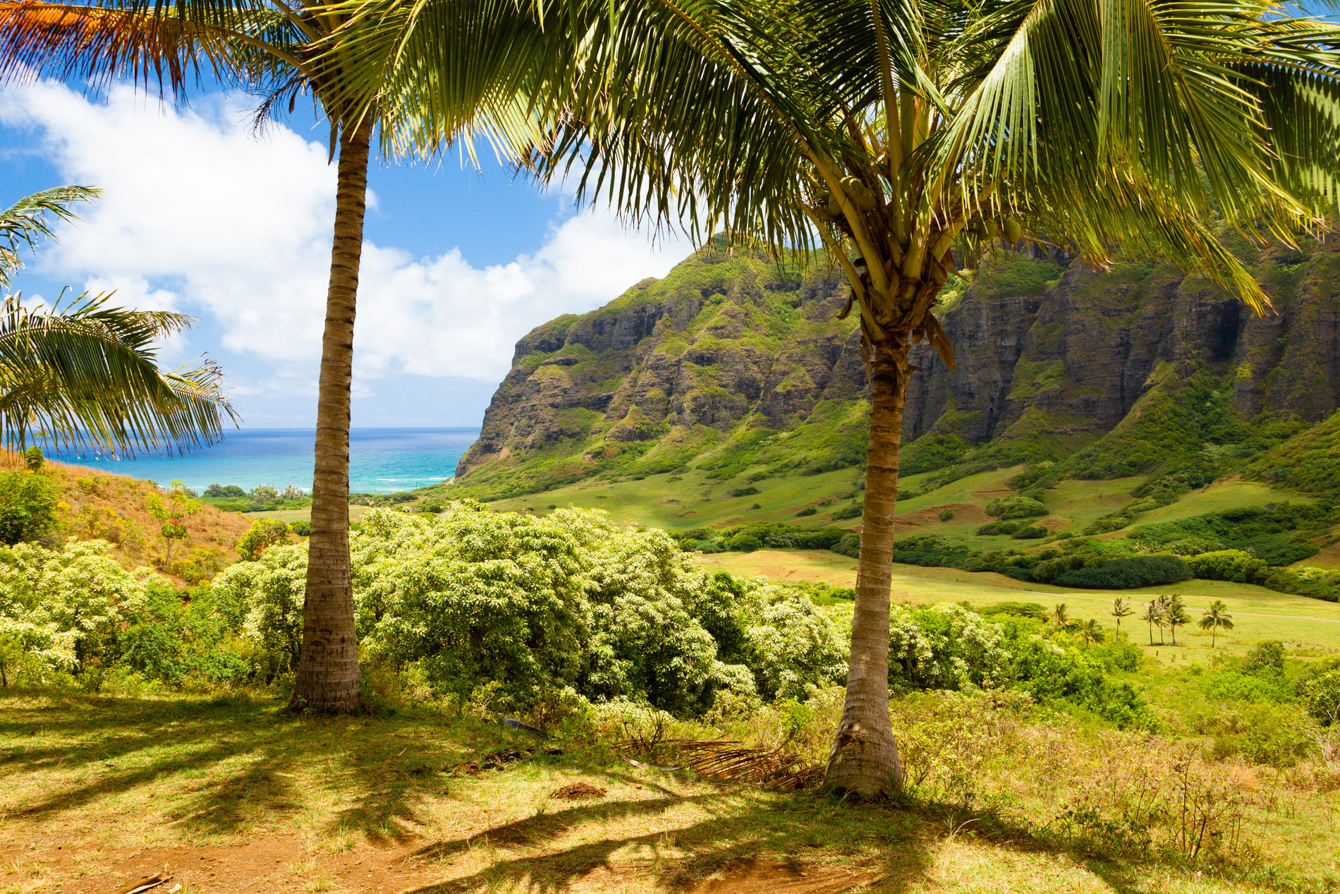 Kaaawa Valley