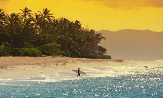 Surf Hawaï
