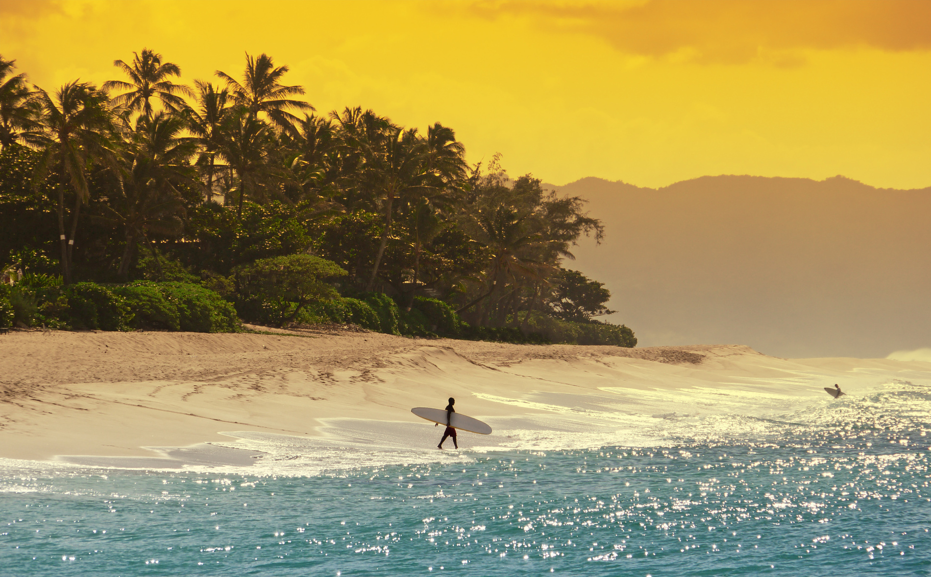 Surf Hawaï