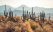 Désert Cactus arizona