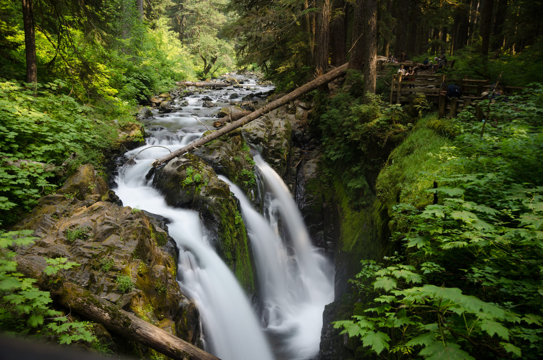 Olympic National Park