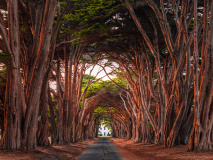 Point Reyes National Seashore