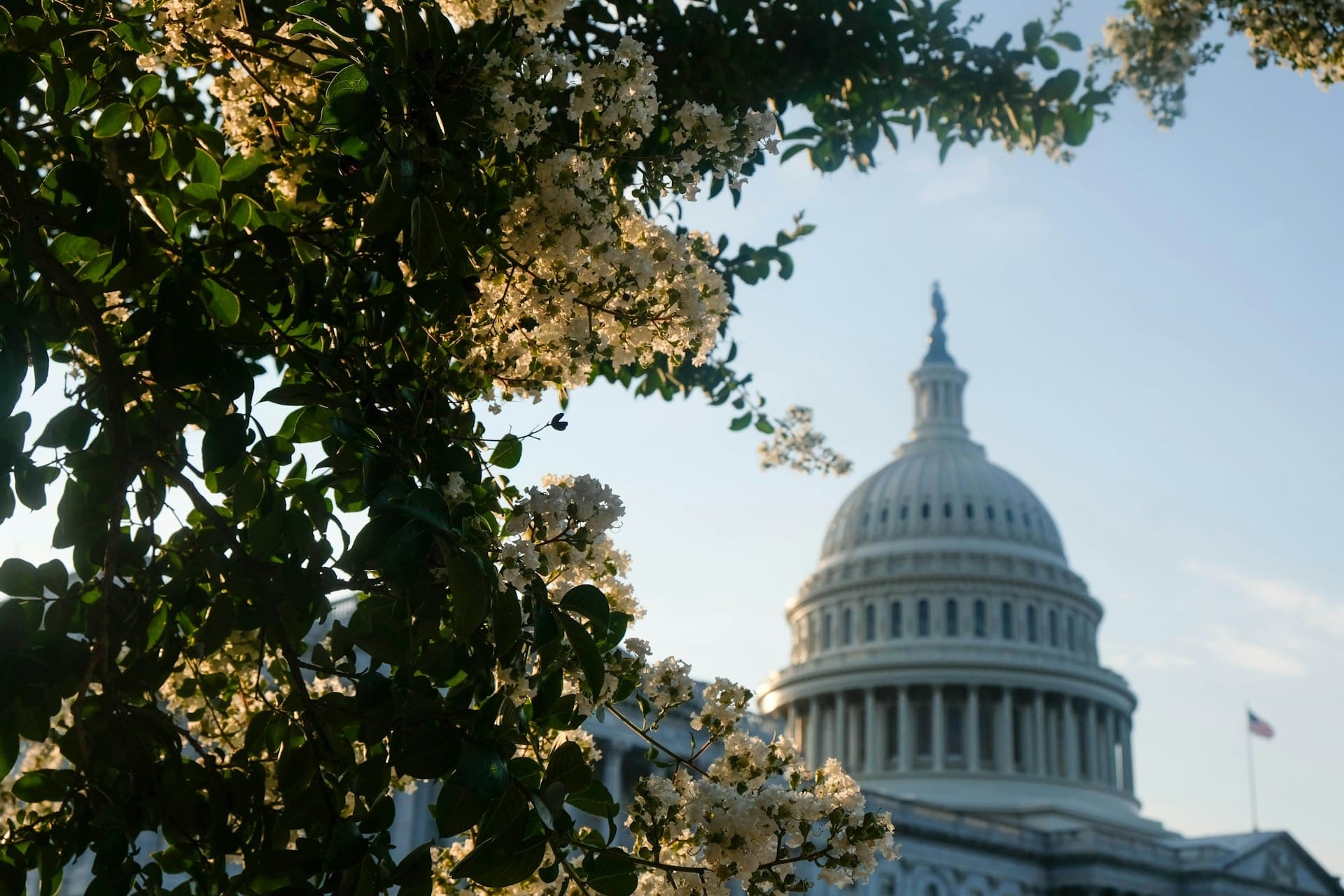 Maison Blanche Washington