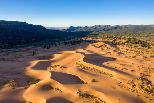 Coral Pink Sand Dunes