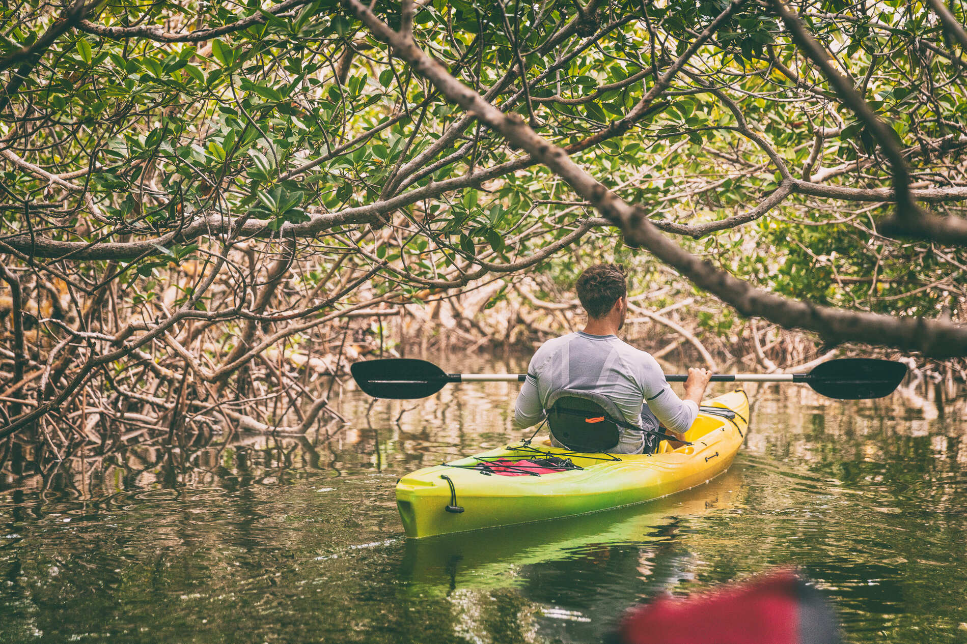 Kayak dans les Everglades en Floride