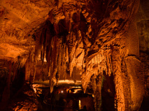 Mammoth Cave National Park