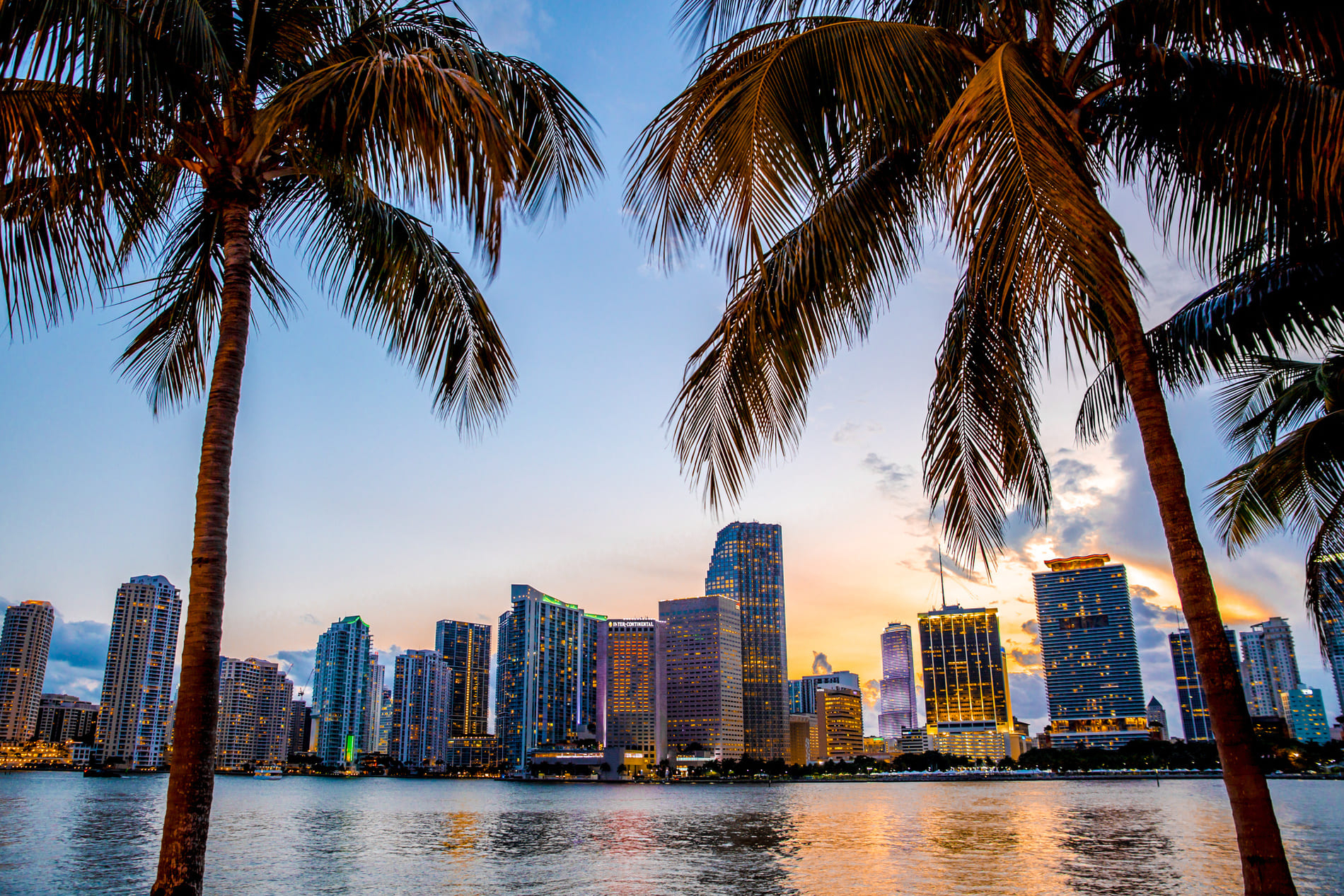 Miami de nuit