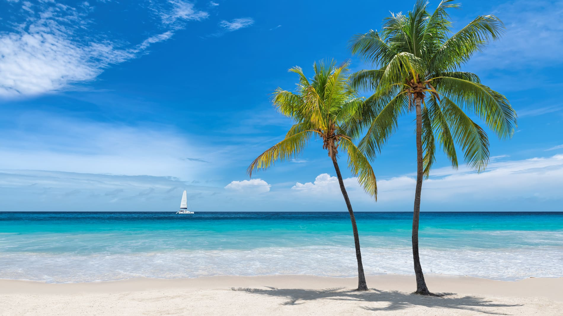 Plage de Key West