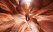 White Pocket Utah