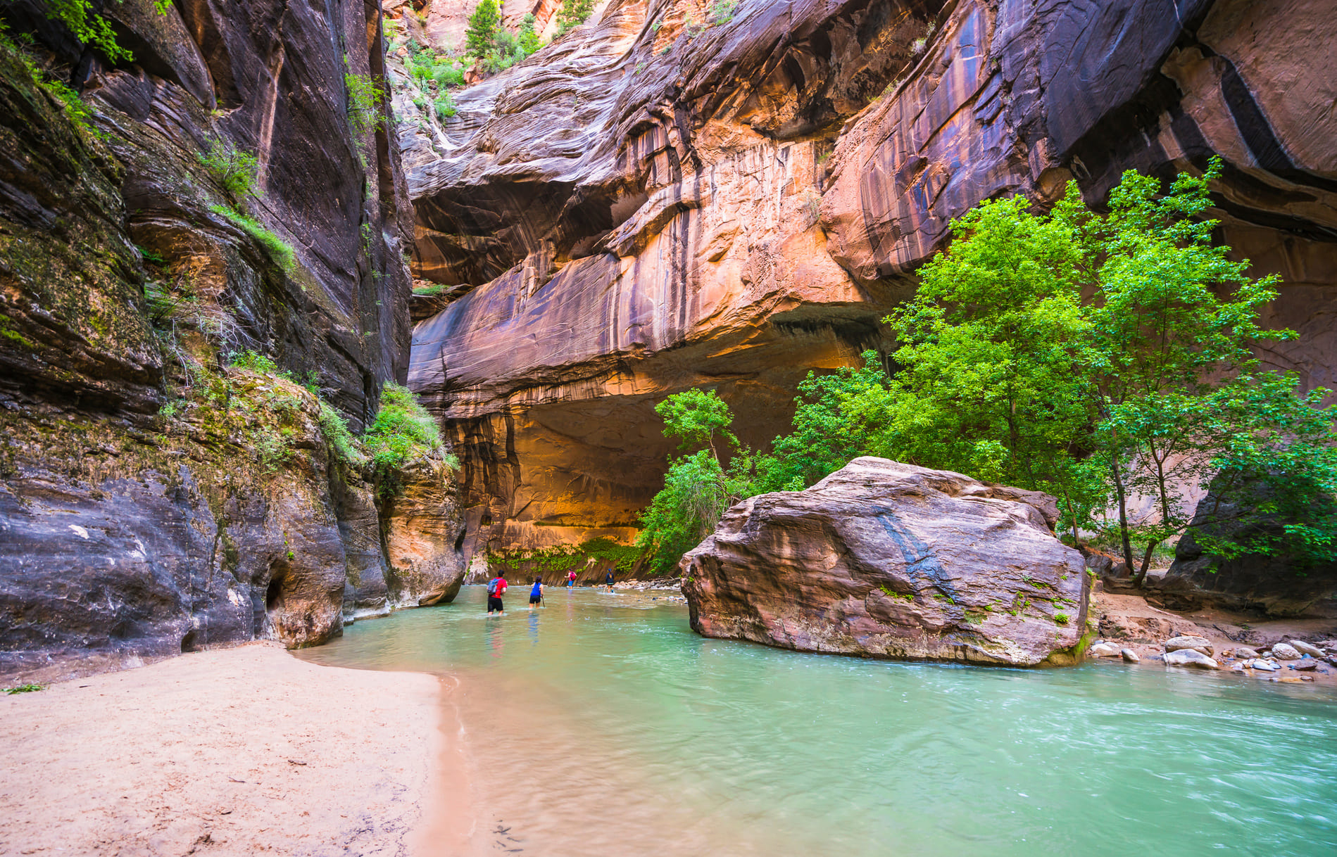 Zion National Park