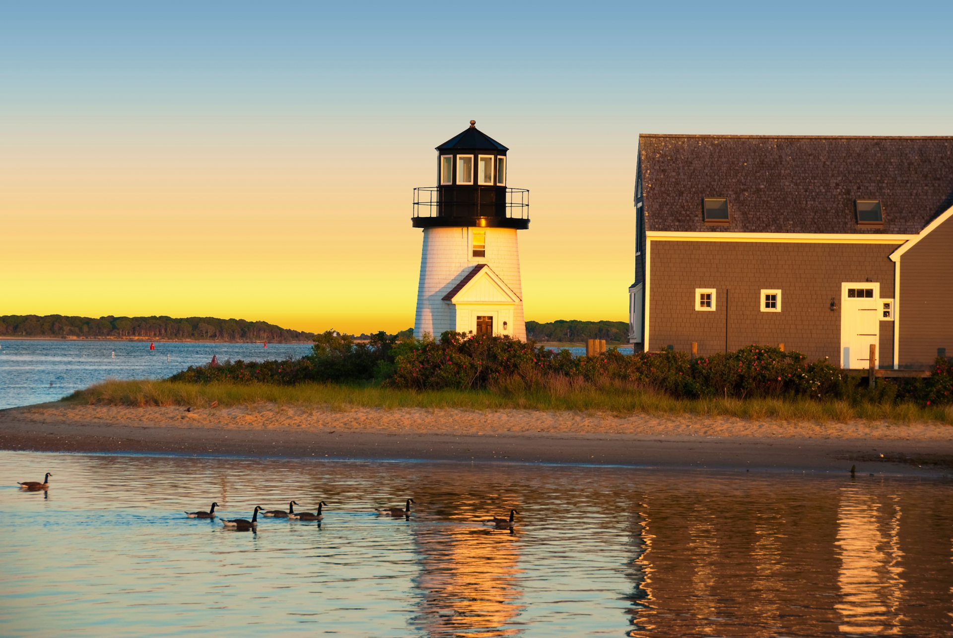 Hyannis