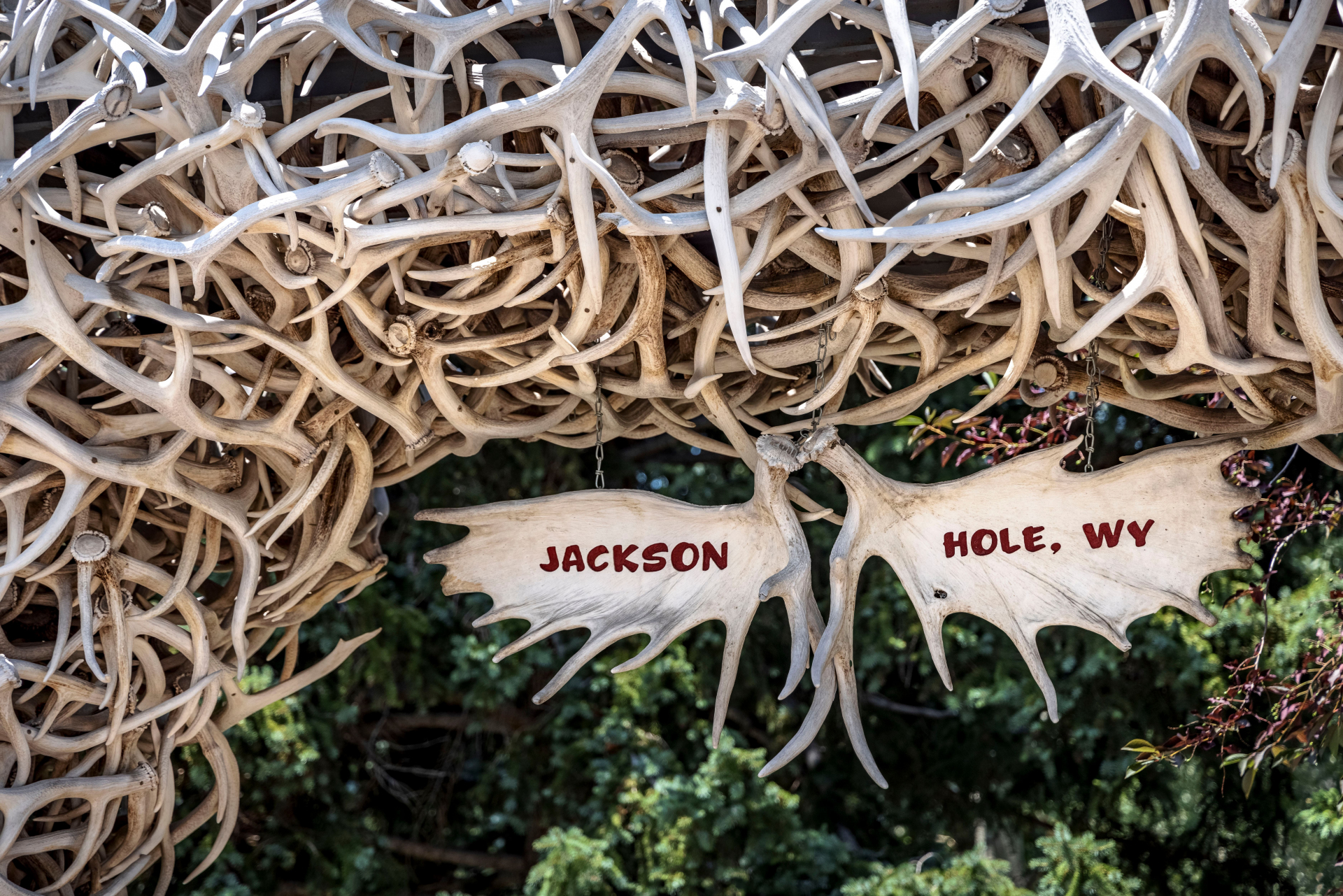 jackson-hole