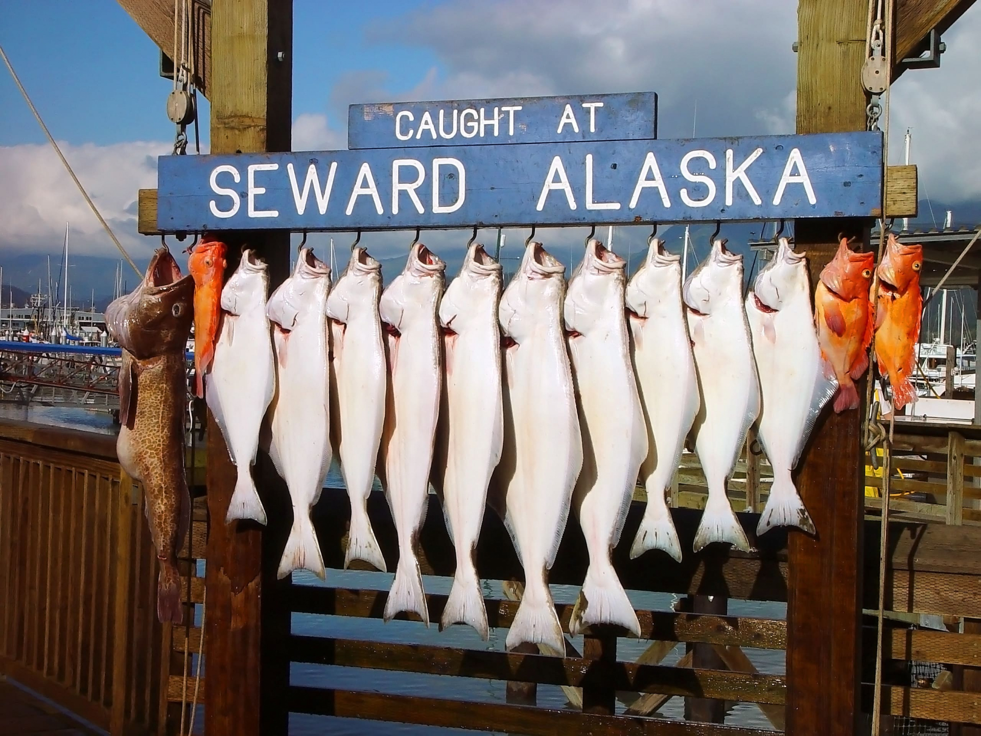 seward