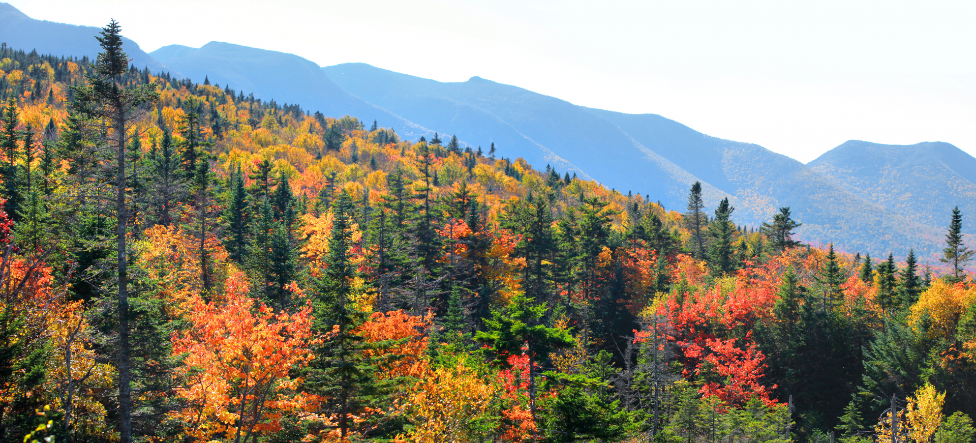 white-mountains