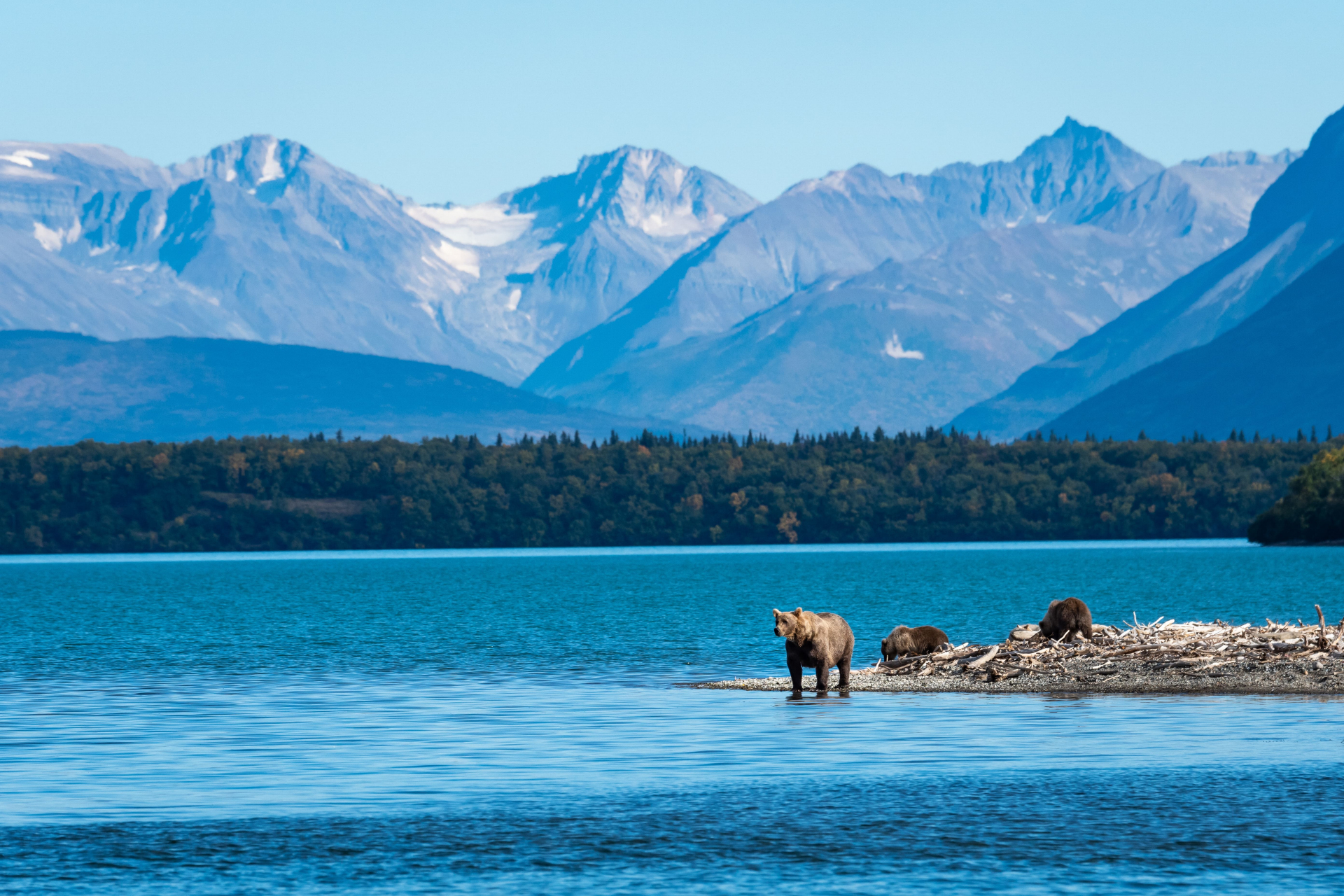 Alaska Carte didentité Routardcom