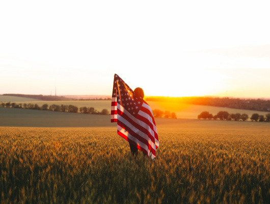 Drapeau des Etats Unis Paysage